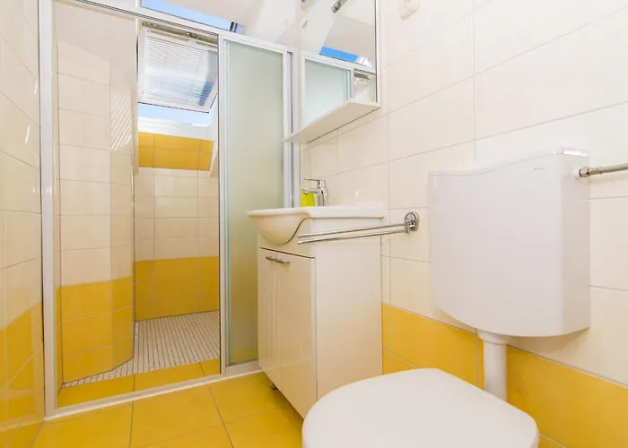 Cypress טרוגיר